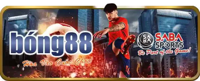 Sân tennis với quả bóng và vợt